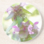 Delicate Purple Deadnettle Flowers Coasters