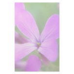 Delicate Purple Lunaria Flowers Stationery Paper