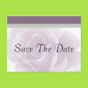 Delicate Rose Floral Save The Date Postcards