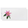 Delicate Stargazer Lily Personalized Rack Card