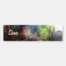 Delicate Sunrays Bumper Stickers