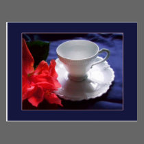 Delicate White Demitasse postcards