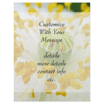 Delicate White Poppy Personalized Flyer