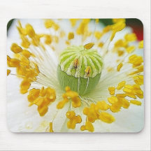 Delicate White Poppy Mouse Pad