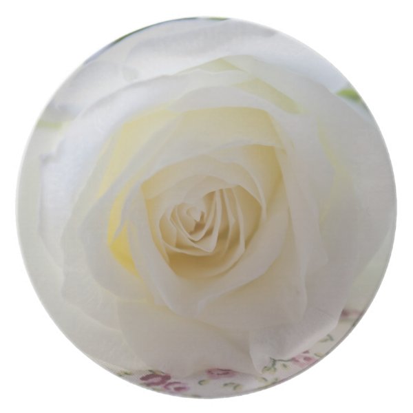 Delicate White Rose Photograph Party Plate