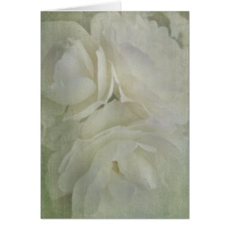 Delicate White Roses card