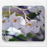 Delicate White Tropical Flowers mousepads