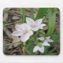 Delicate Wildflower Mousepad mousepads