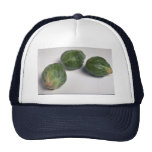 Delicious Brussel sprouts Hat