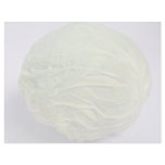 Delicious Cabbage Personalized Letterhead