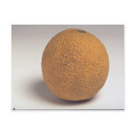Delicious Cantaloupe Post Card