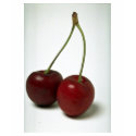 Delicious Cherries t-shirts