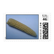 Delicious Corn cob Stamp