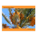 Delicious Desert Dates Post Card
