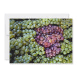 Delicious grapes fruit announcements