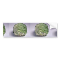 Delicious Iceberg lettuce Bumper Sticker
