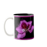Delicious Nature Coffee Mugs
