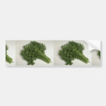 Delicious Parsley Bumper Sticker