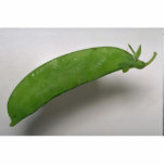 Delicious Pea Photo Cut Out