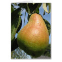 Delicious Pear cards by charlesblack7 Delicious Pear cards