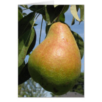 Delicious Pear cards