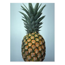 Delicious Pineapple postcards