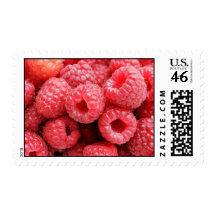 Delicious Raspberries Stamp