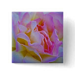Delicious rose and meaning button