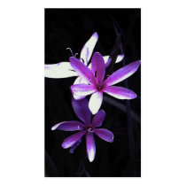 delight of purple business cards by dawnmcininch delight of purple business cards