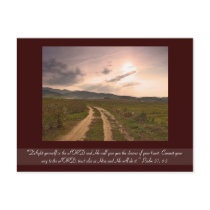 "Delight yourself..." - Postcard