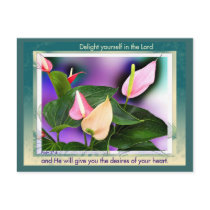 Delight Yourself Postcard by dollargrafix Delight Yourself Postcard