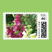 Delightful Array stamps