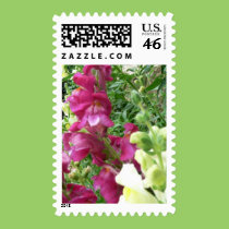 Delightful Array stamps