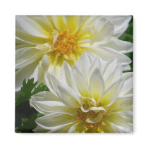 Delightful Dahlias Magnet