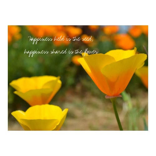 Delightful Spring print