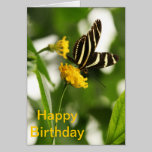 DELIGHTFUL STRIPES cards