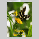 delightful stripes cards