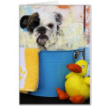 Delilah - English Bulldog card