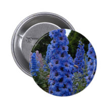 Delphinium Button