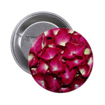 Delphinium  flowers button