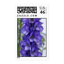 Delphinium Postage