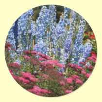 Delphinium Row, S Cyr stickers