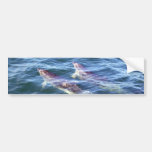Delphinus delphis bumper sticker