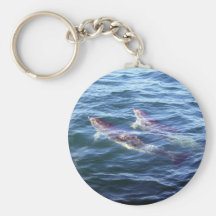 Delphinus delphis key chain