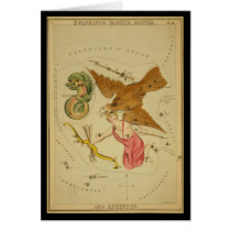 Delphinus, Sagitta, Aquila, and Antinous cards