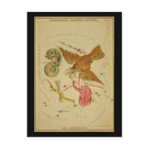Delphinus, Sagitta, Aquila, and Antinous postcards