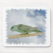 Delute turqoise linnie mousepad