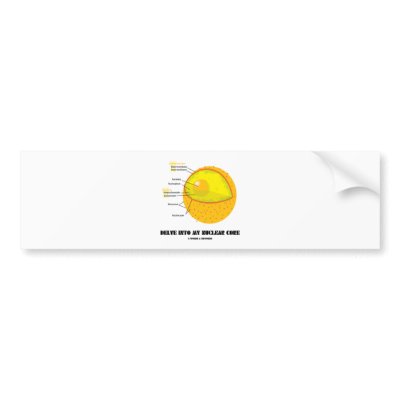 nucleus