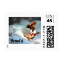 DemoCAT postage