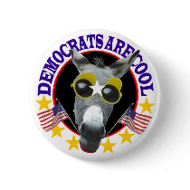DEMOCRATS ARE COOL PINBACK BUTTON
